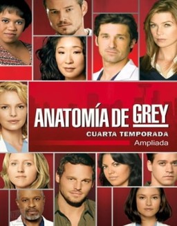 Anatomía de Grey T4