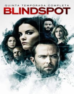 Blindspot online gratis