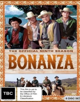 Bonanza T9