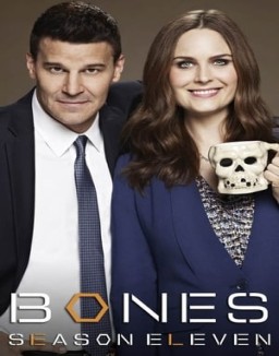 Bones temporada  11 online