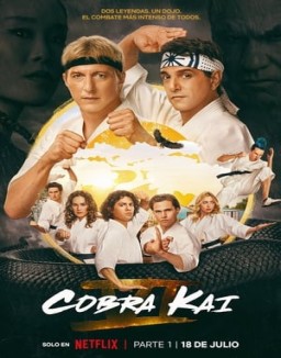 Cobra Kai online gratis