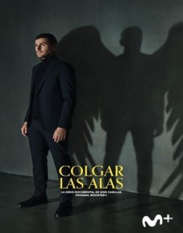 Colgar las alas