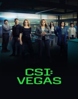 CSI: Vegas temporada  1 online