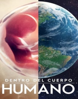 Dentro del cuerpo humano online gratis