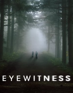 Eyewitness T1