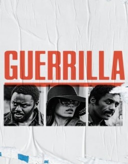 Guerrilla stream