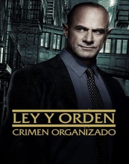 Ley y orden: Crimen organizado T4