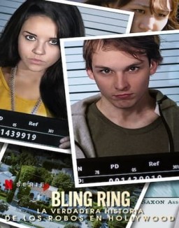 Los Bling Ring desvalijan Hollywood