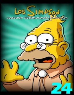 Los Simpson T24