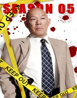 Major Crimes temporada  5 online