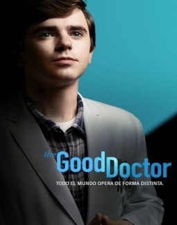 The Good Doctor temporada  6 online