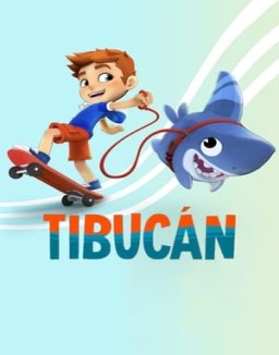 Tibucán stream